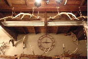 鹿の角の天井オブジェ