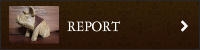 REPORT